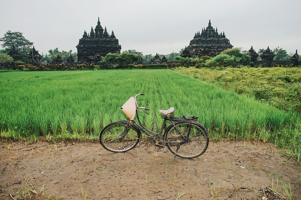 a bicycle with a conical hat in the green rice paddies with a temple behind — village life begins at the gate of Villa Tanen, Yogyakarta