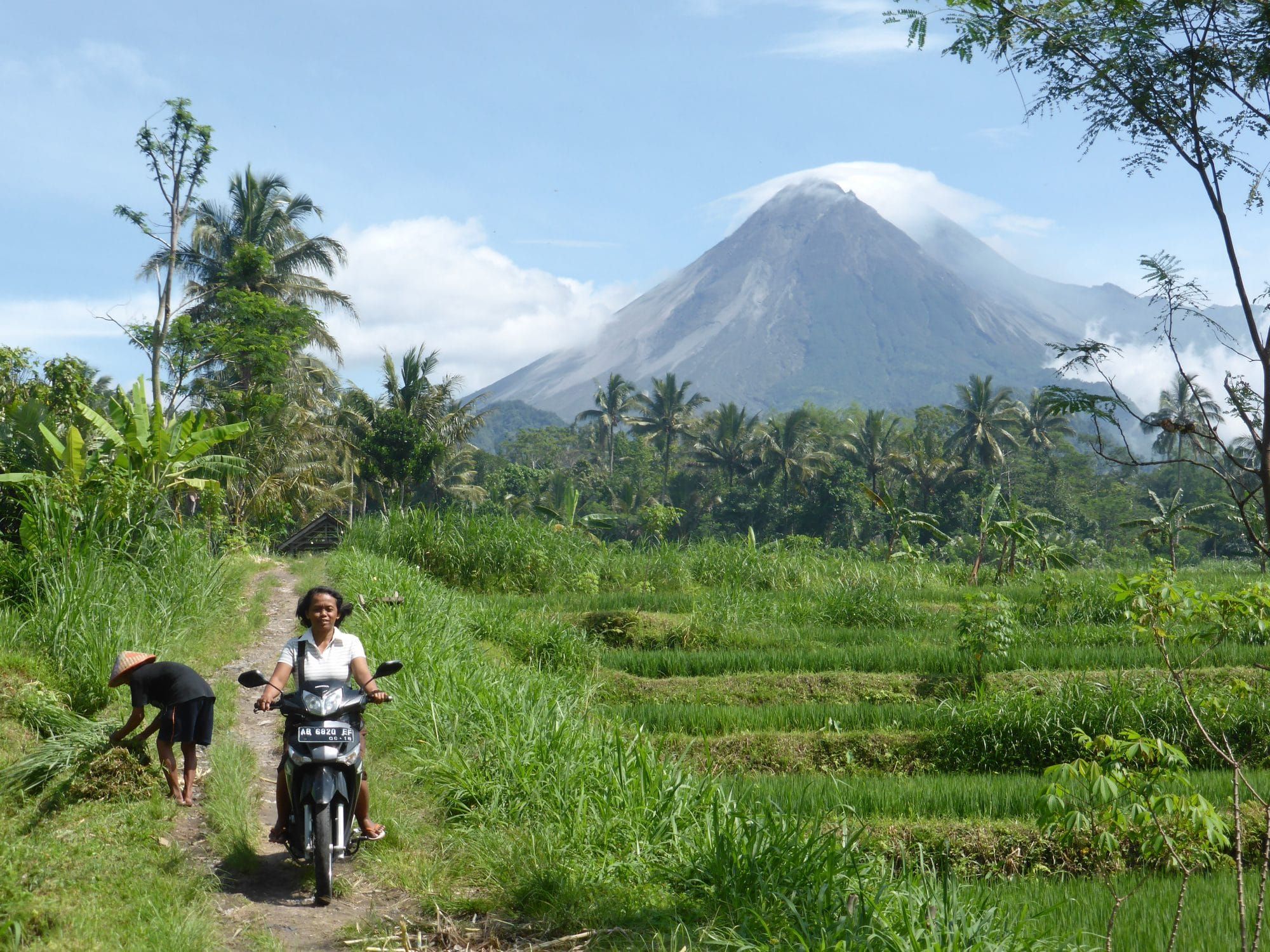 Mount Merapi rising above green rice fields near Kaliurang — the view from around Villa Tanen
