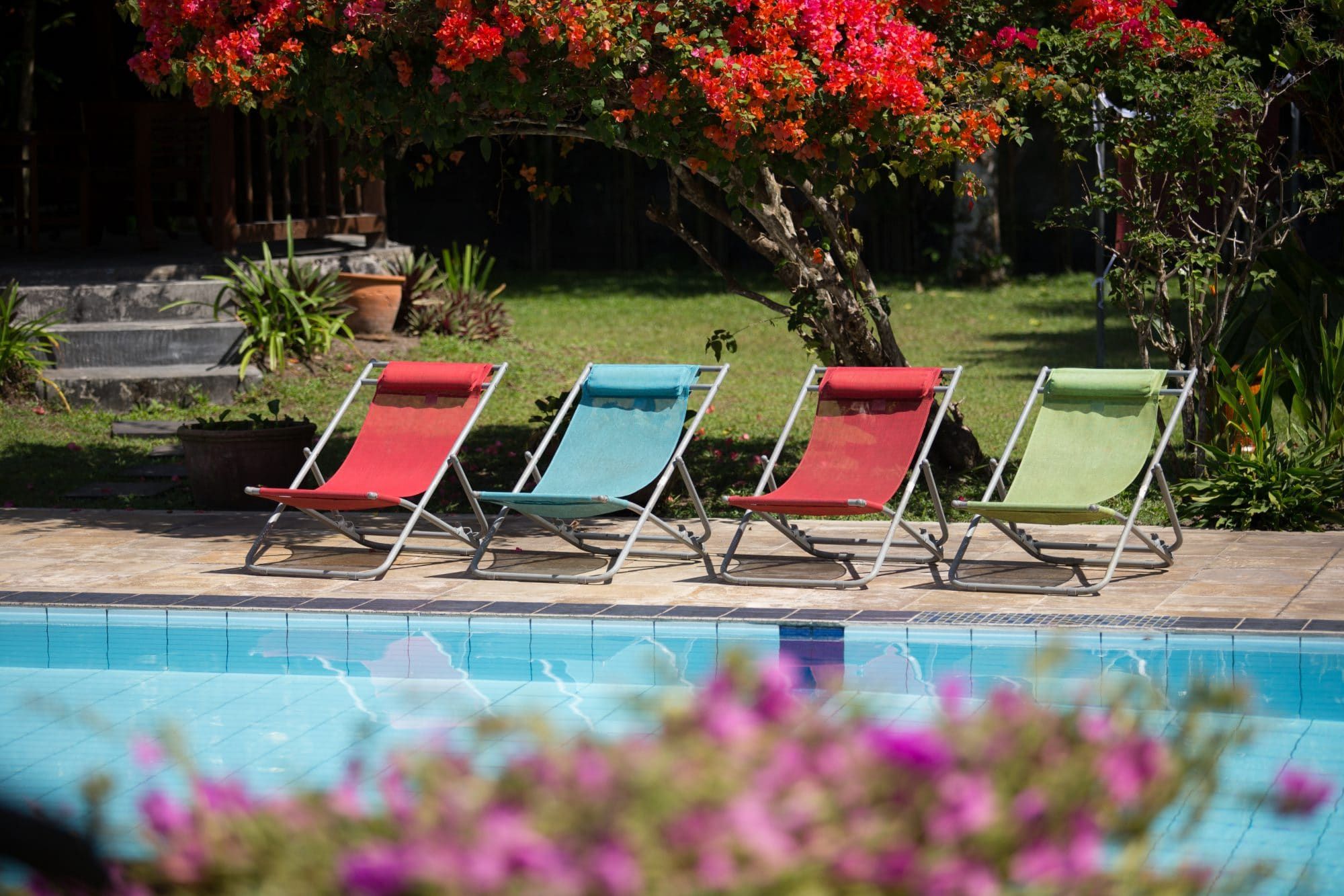 Sun loungers beside Villa Tanen's pool, bougainvillea in bloom — the garden ready for arrival