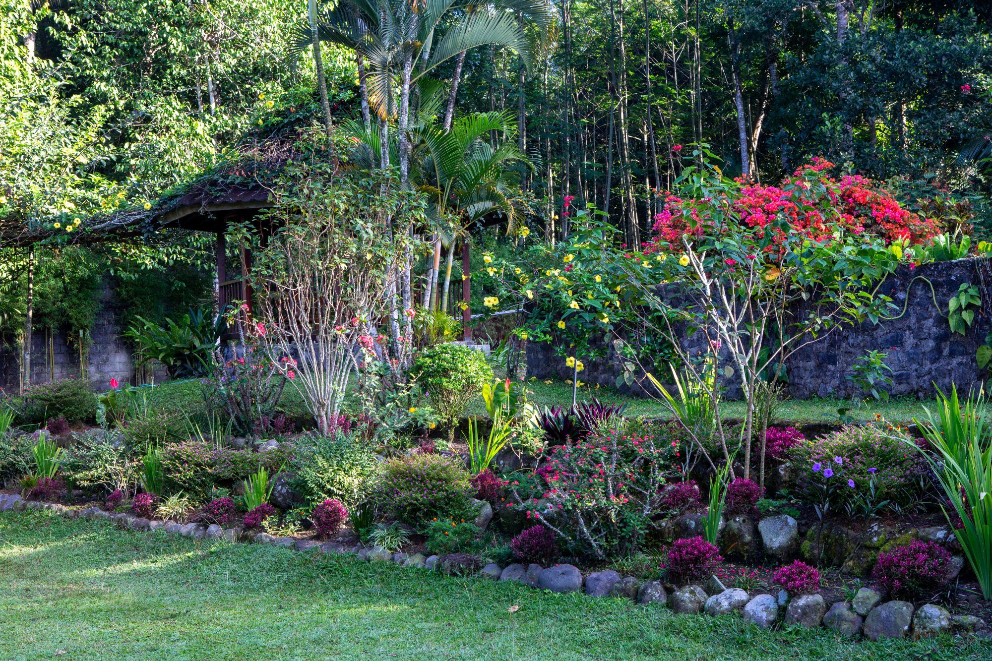 Lush tropical garden of Villa Tanen with stone wall, gazebo and flowering plants — the green heart of the village of Tanen