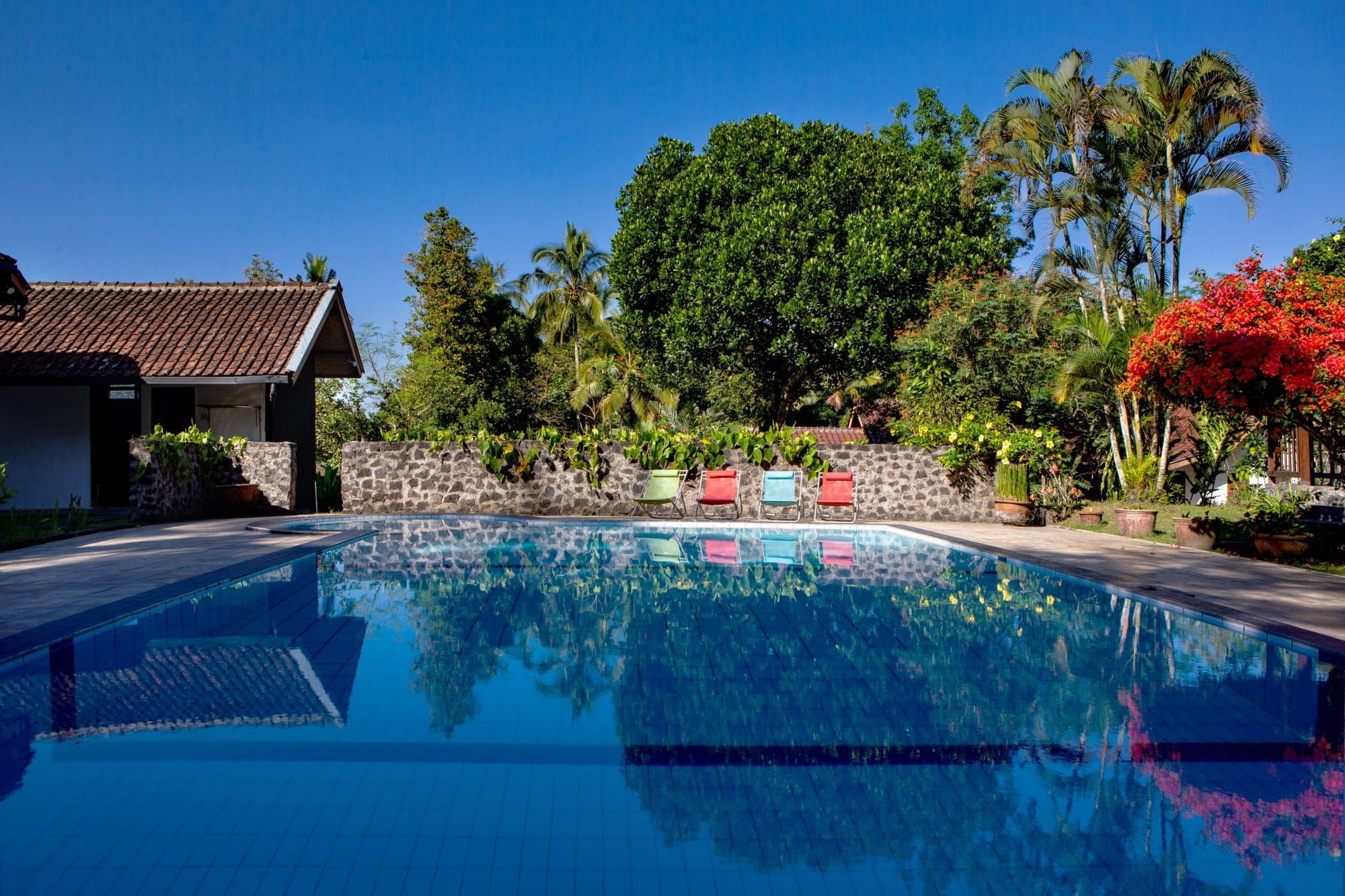 Private pool at Villa Tanen with sun loungers along the edge, tropical greenery and blue sky