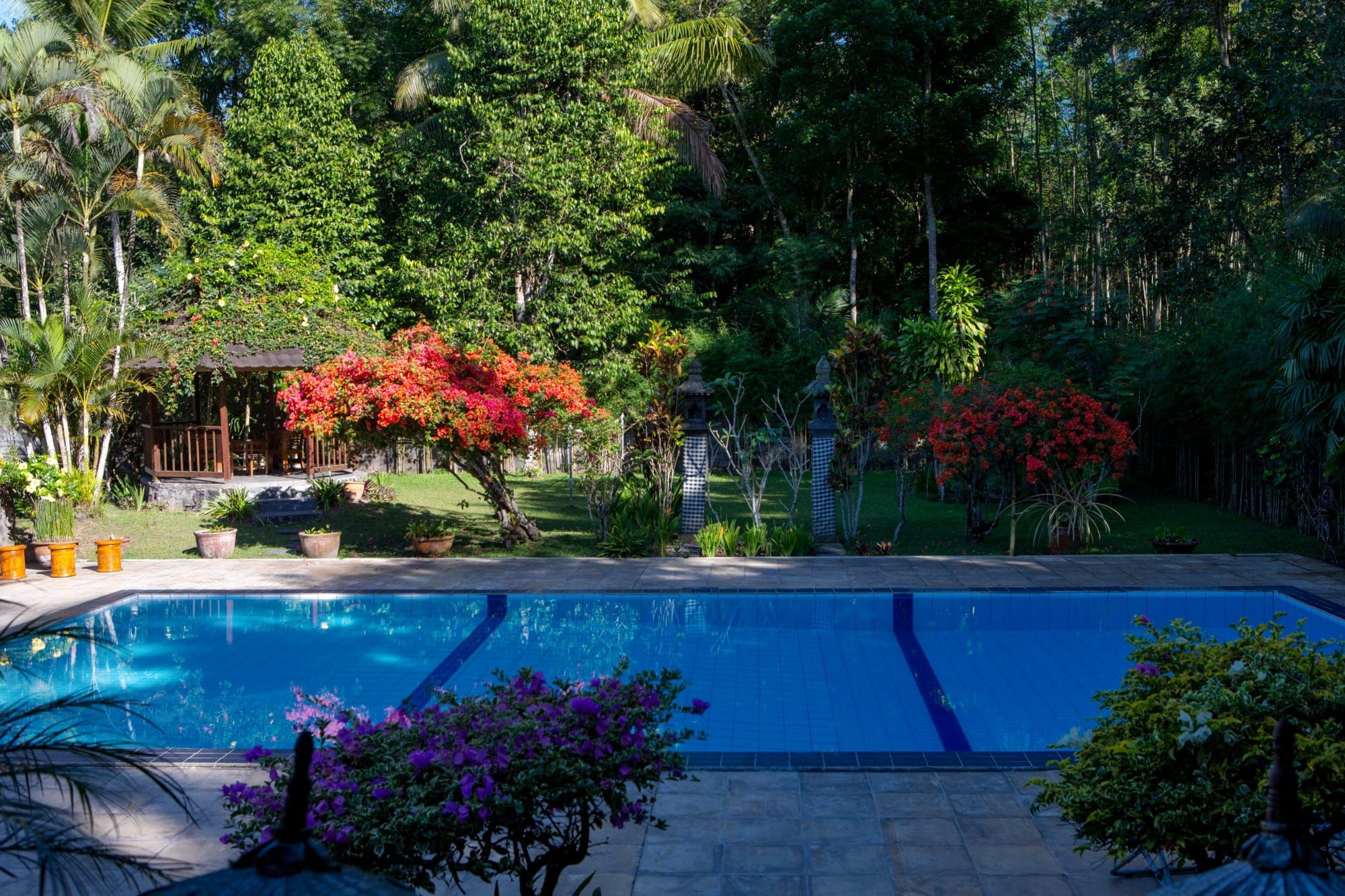 Private pool at Villa Tanen surrounded by lush tropical garden with red bougainvillea, high on the slopes of Mount Merapi near Yogyakarta